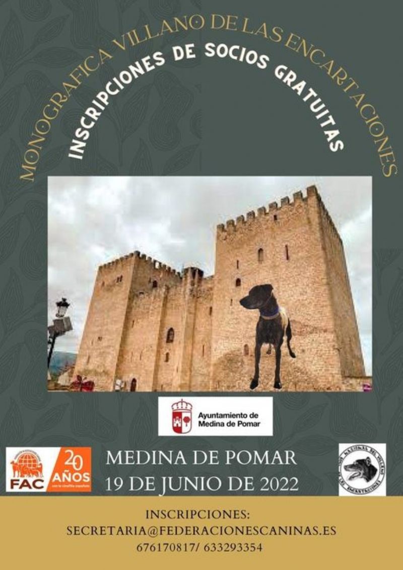 Cartel de I MONOGRAFICA DEL VILLANO DE LAS ENCARTACIONES, MEDINA DE POMAR