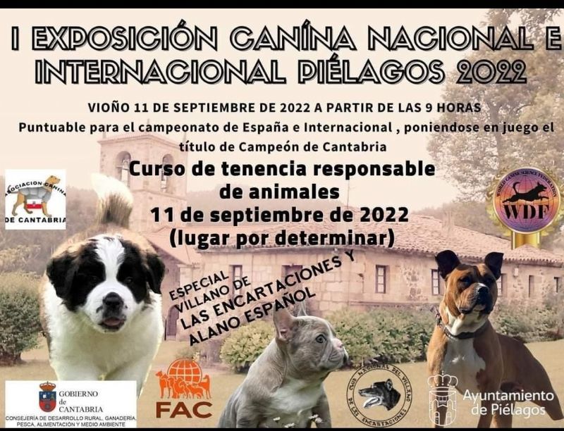 Cartel de I EXPOSICION NACIONAL E INTERNACIONAL DE PIELAGOS 2022