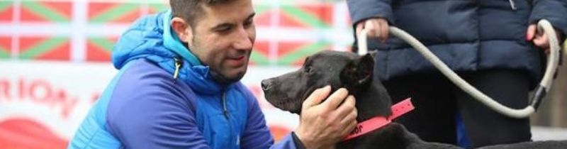 Un registro de perros villanos protegerá a la raza encartada
