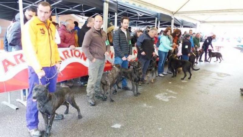 Feria de San José de Güeñes: el campo en el ADN